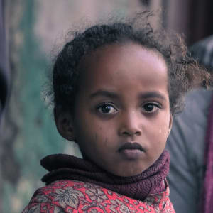Abyssinian Beauty by Susu Hauser