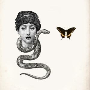 Transformation by Angela Kahoalii Casagrande