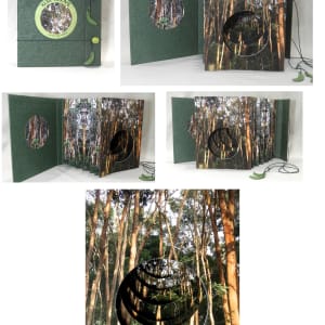 Koa Grove by Charlene Asato