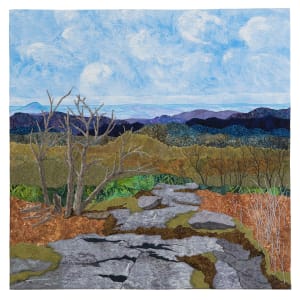 Decending Blood Mountain by JoAnn Camp