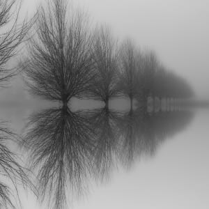 Indefinite Fog by Steven Kratka