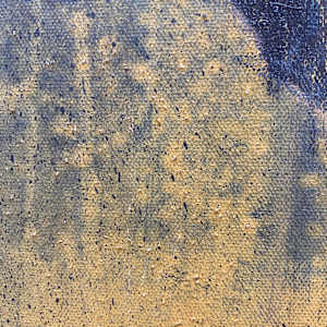 Animals by Chantal Hediger, Image 2.