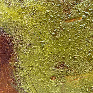 Earth by Chantal Hediger, Image 7.