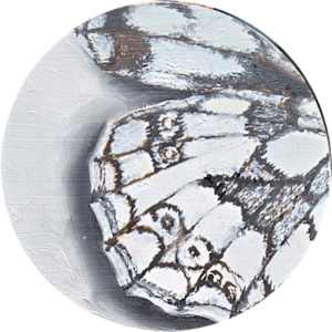 Mini Marble White 2 by Catherine Mills