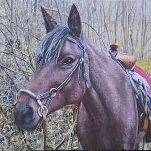 Felina by Catherine Mills