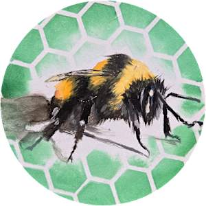 BeeHex by Catherine Mills