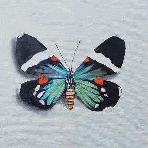 Day Flying Moth by Catherine Mills