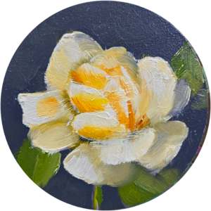Water Lily by Catherine Mills