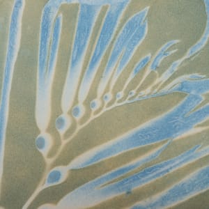 Giant Kelp Study 40, Giant Kelp Toned by Oriana Poindexter 