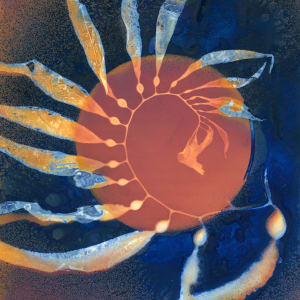 Giant Kelp Study 126 by Oriana Poindexter