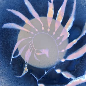 Giant Kelp Study 127 by Oriana Poindexter