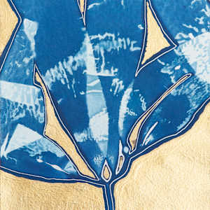 Giant Kelp Study 135, Gilded by Oriana Poindexter