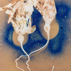 Bull Kelp Study 8 by Oriana Poindexter