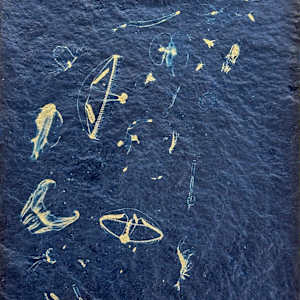 Great Upwelling Study 9 by Oriana Poindexter, Image 2.