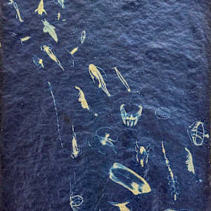 Great Upwelling Study 8 by Oriana Poindexter, Image 1.