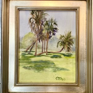 Palm discussion 