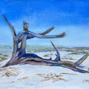 Weathered Memories by Theresia McInnis  Image: Gorgeous driftwood that’s still firmly planted. 