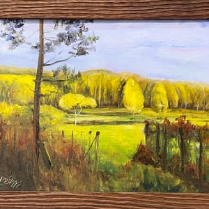 Suches Meadows 
