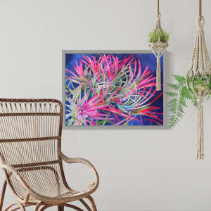 Bromeliad Gone Wild by Theresia McInnis 