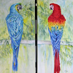 Parrot Azure Plumage Serinade by Theresia McInnis  Image:  "Vibrant Duets: Parrot Pairs, Blue and Multi-Red".