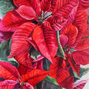 Red Poinsettia by Theresia McInnis