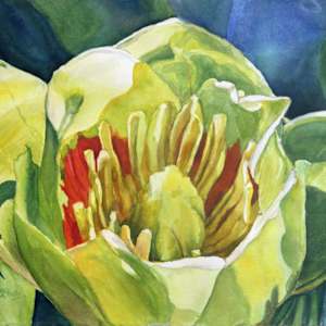 Tulip Poplar Backlight by Theresia McInnis 