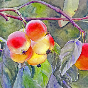 Crabapple Glow by Theresia McInnis