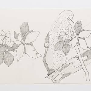 Cascade 23 by Eric Reinemann  Image: Element 2, 9x14, graphite on paper