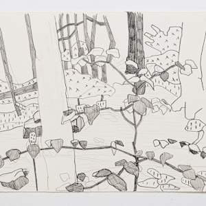 Cascade 23 by Eric Reinemann  Image: Element 7,  9x14, graphite on paper