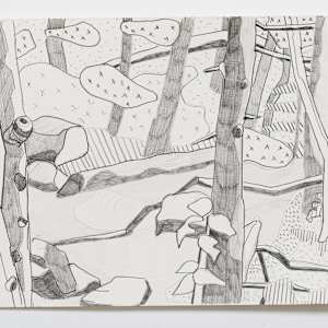 Cascade 23 by Eric Reinemann  Image: Element 6, 9x14, graphite on paper