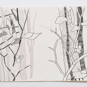 Cascade 23 by Eric Reinemann  Image: Element 16, 9x14, graphite on paper