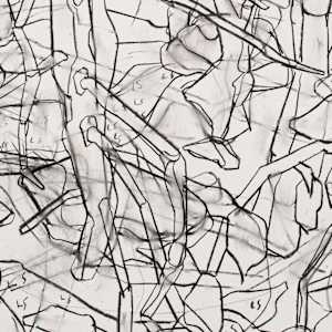 Landshelf, study by Eric Reinemann  Image: detail