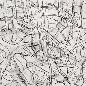 Landshelf, study by Eric Reinemann