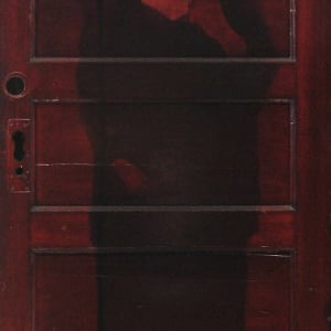 Access and Ambiguity (Door Project Installation) by Mark Gerard McKee  Image: Sharon (Arbiter of Taste), 2012, 80 ¼ x 33 ½ x 1 ½”, Oil on door (©2023, Mark Gerard McKee)