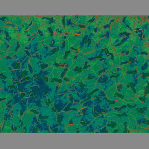 Morning_Creek_Talle by John Andersen 