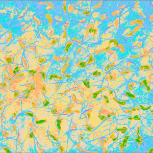 Composition_Day by John Andersen