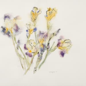 Iris by Katherine Burgman