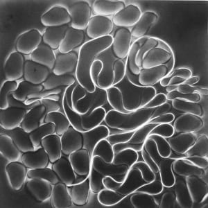 Snap 1 by Michelle Hinebrook