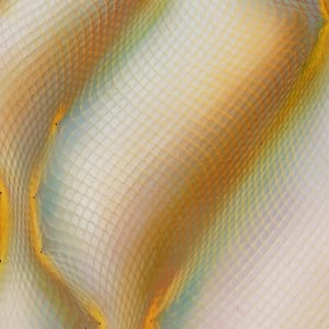 Bulge by Michelle Hinebrook 