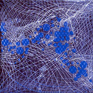 Hybrid Nature by Michelle Hinebrook, Image 2.