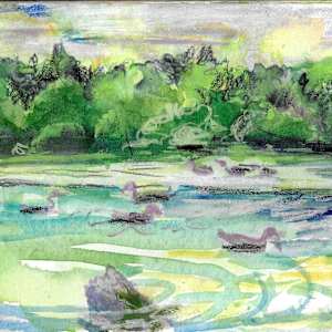 Michelle_Hinebrook_PaintersPoint by Michelle Hinebrook, Image 1.