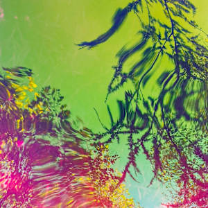 Jealous Sky by Michelle Hinebrook