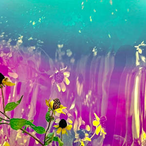 3 by Michelle Hinebrook