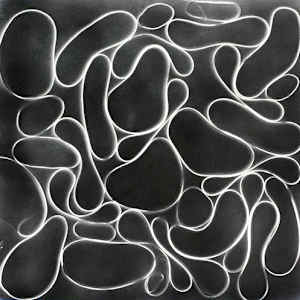 snap 2 by Michelle Hinebrook