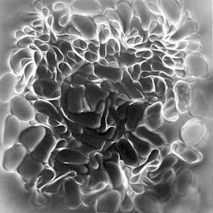 Snap 5 by Michelle Hinebrook