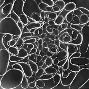 Snap 6 by Michelle Hinebrook