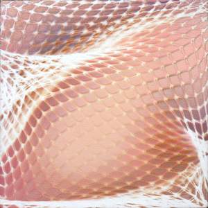 Supple Series by Michelle Hinebrook 