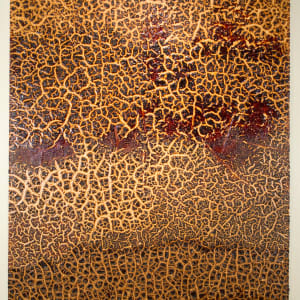 Untitled (Eco styler, African Essence, Softee, Ampro Pro Styl) by Christina Coleman