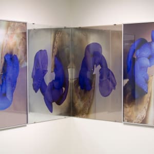 Untitled A, B, C, D by Angelbert Metoyer