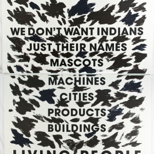 Telling Many Magpies, Telling Black, Telling Hachivi by Edgar Heap of Birds